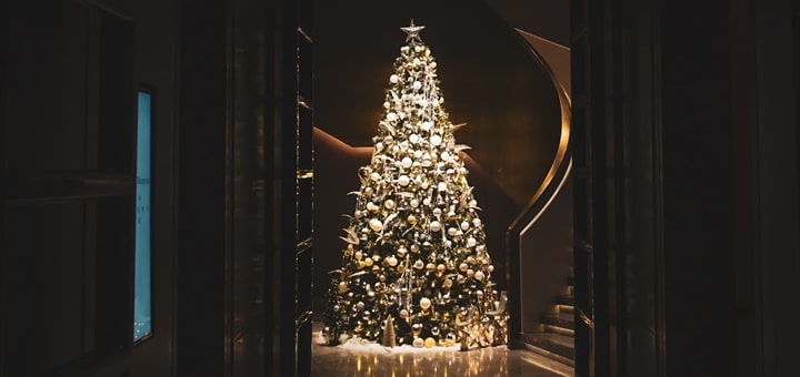 O Christmas Tree Melody