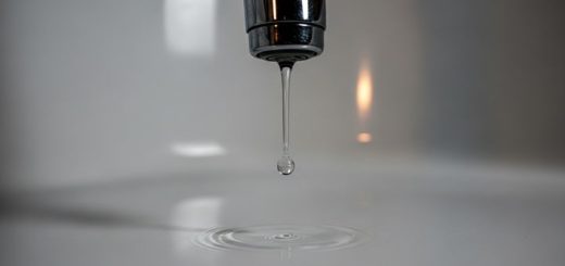 Perfect Original Photos about  Take A Look About Dripping Sound In Wall  as Your HD Pictures